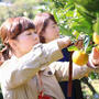 ミカン狩り🍊に行ってきました！埼玉県を応援します₍₍ ( ๑॔˃̶◡ ˂̶๑॓)◞♡