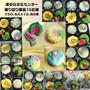 津中日文化センター様練り切り　うちわ・花火・スイカ・向日葵