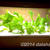 Green FarmでLED水耕栽培日記 24日目