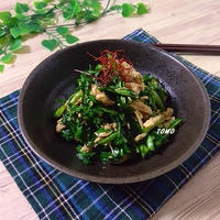 スパイスアンバサダー♪おつまみにも！ニンニク香る春菊とささみのピリ辛サラダ
