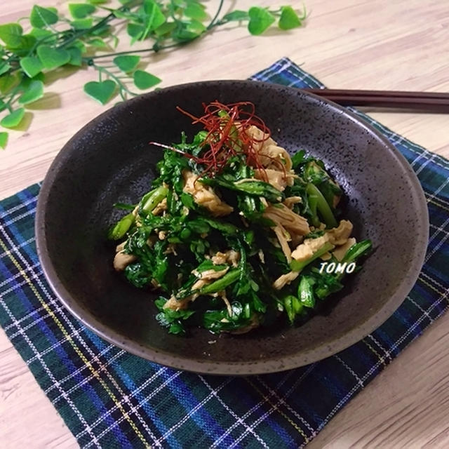 スパイスアンバサダー♪おつまみにも！ニンニク香る春菊とささみのピリ辛サラダ