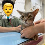 この間のぼくちんの病院と、だんなさまの突然の腹痛