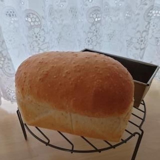 塩麹白ごまミニ食パン💛