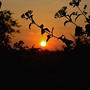Gallery【Sunset Photo Collection】夕陽の写真、集めました。