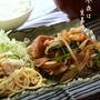 生姜焼きレシピと本の表紙（貴重）とネーミング。