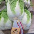 白菜とサバ缶煮