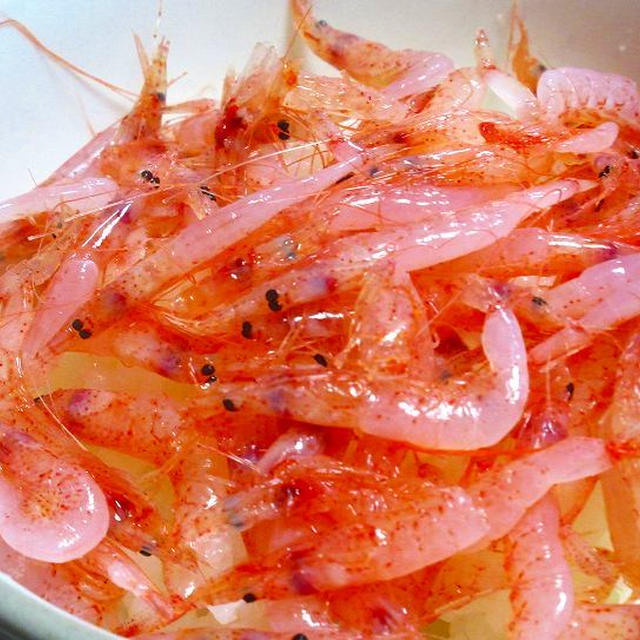 春の朝昼食