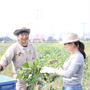 野菜のチカラ「えだまめ狩りに畑に行ってきました」