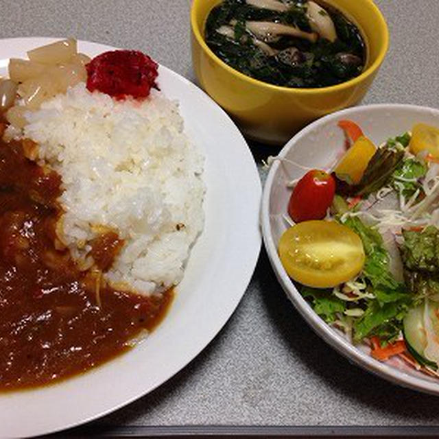 休肝日のリメイクカレー。夏カレー弁当