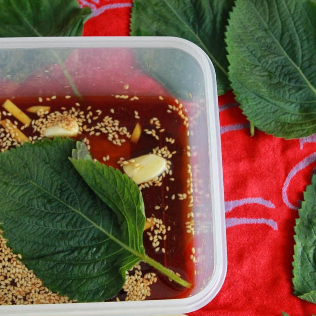 エゴマの葉のしょうゆ漬け☆Marinade Sesami Leaf with Soy souce