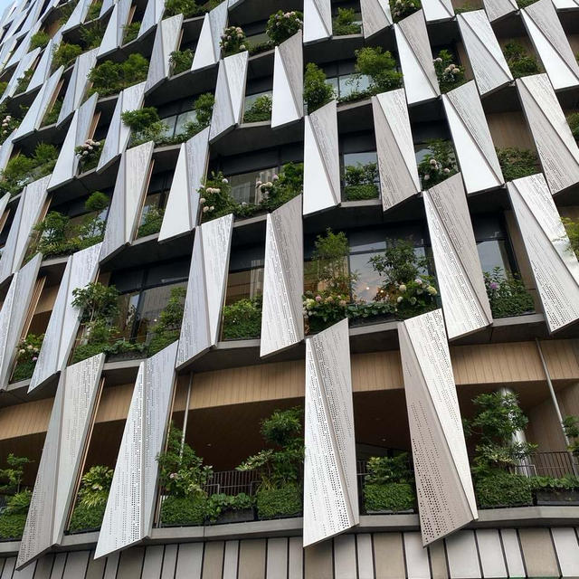 阪神百貨店の植物たち
