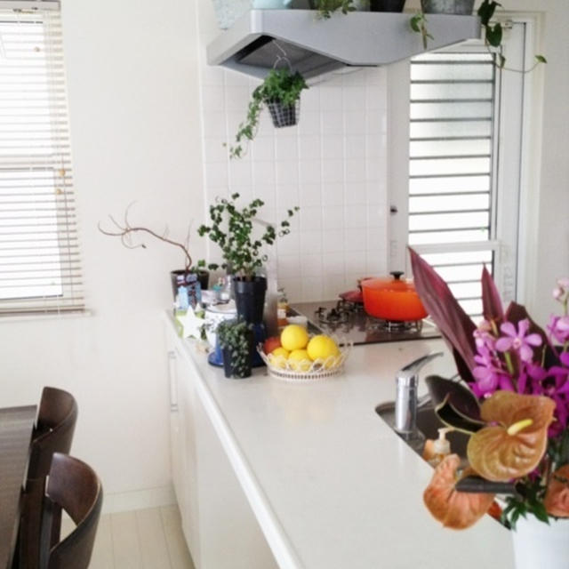 my kitchen garden♡