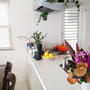 my kitchen garden♡