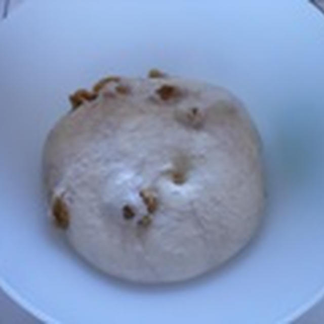 ホシノ酵母日記　***　クルミのカンパーニュ　***