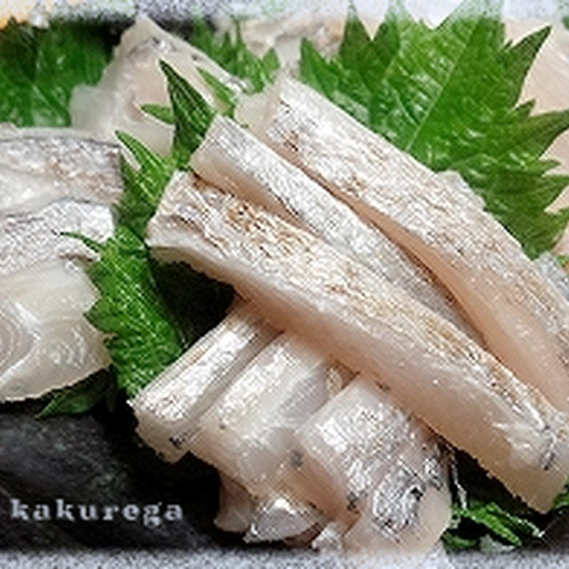 釣魚料理 タチウオのたたき とか色々 By Rerekoさん レシピブログ 料理ブログのレシピ満載