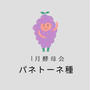 冬の酵母会はパネトーネ種です。