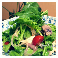 緑の野菜のごちそうサラダ✩　キューピー味わいすっきりドレッシングでつくるマリアージュ・サラダ