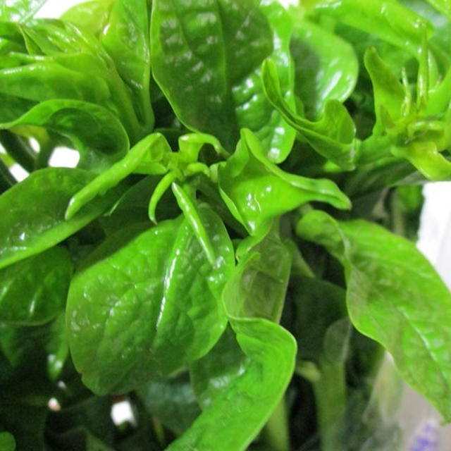 コロナ渦におすすめ！つるむらさき・茹で方・薬草レベルの栄養価・冷たい麺レシピの補足説明です♡