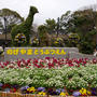 御礼＆横浜写真☆桜が満開の野毛山動物園(横浜桜木町)