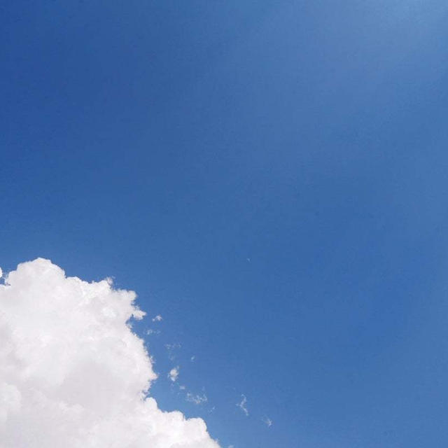夏みたい#最近撮った写真は