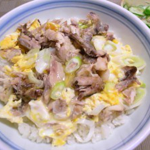 ゴーヤのネット設置【ベランダ再生】・鶏ガラ丼【圧力鍋活躍】