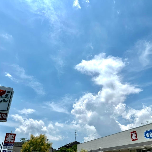 ウエルシア　西宮上甲子園店　看板ができてました　