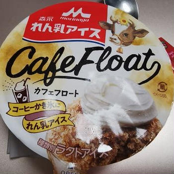 今日のアイス♪ 森永乳業「森永れん乳アイス　カフェフロート」