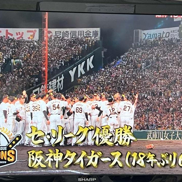 阪神タイガース　セ•リーグ優勝　18年ぶり6度め　セール情報気になります