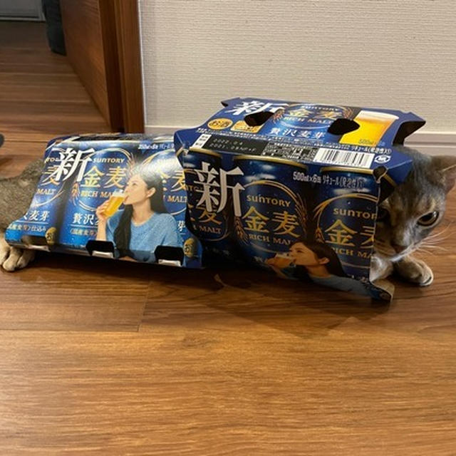 金麦マン連結