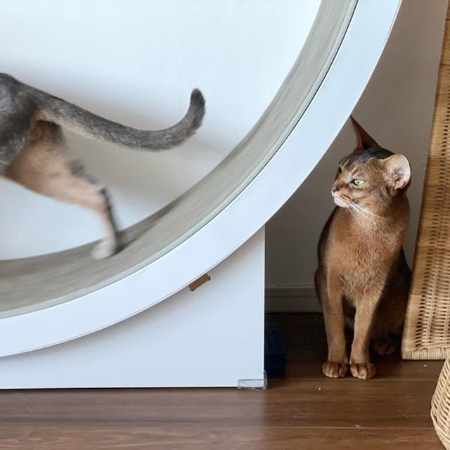 順番待ち