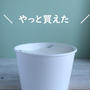 ＊コストコ＊フードコートのお初をやっと～！！！