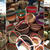 Farmar's Market＆Ex-chenge