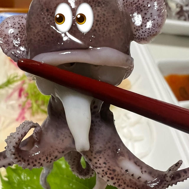 なんかに似てる ミミイカの刺身に目をつけてみたら・・・