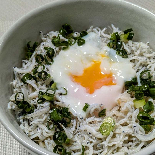 朝ご飯にのっけるだけ高タンパクごはん