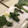 【動画】山菜の茹で方・アク抜きの基本