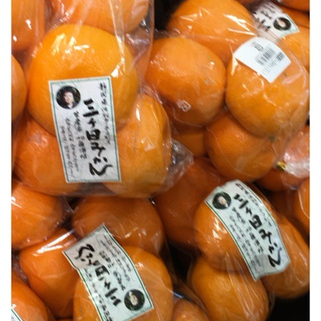 甘くて美味しい　三ヶ日みかん
