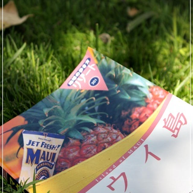 明日からバケーションに出ます♪
