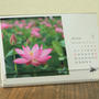 2014年蓮花カレンダー（ポストカードサイズ）