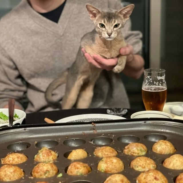 わかさま、初めてのたこ焼き見物の後にたこ焼きになる？