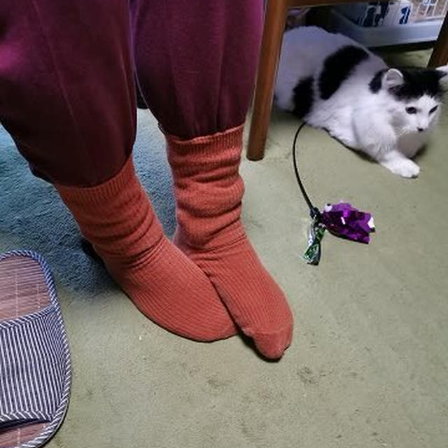 リモートワークふたたび！ 