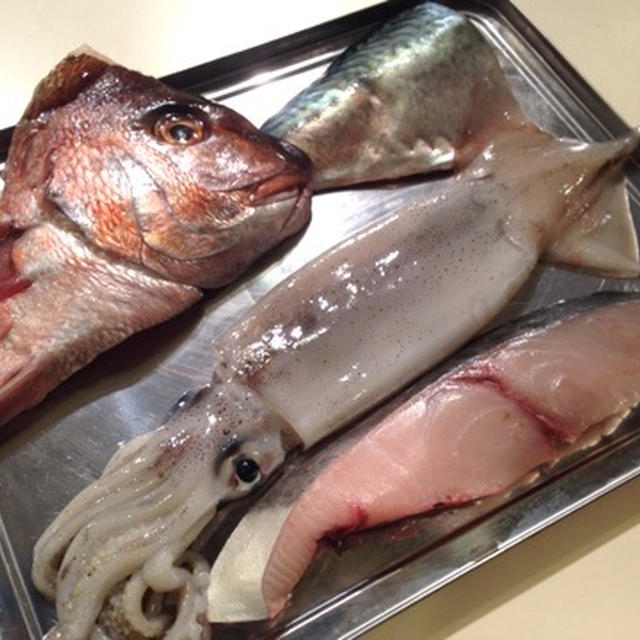 初講習！貝印主催「切り身魚の扱い方講習」終了。