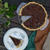 Sweet Potato Pecan Pie スイートポテトピーカンパイ