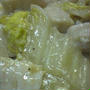 ぽかぽかぁ〜ホタテはくさい豆腐しょうがあんかけ