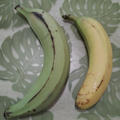 プランテン～調理用バナナで実験♡(=^・・^=)♡