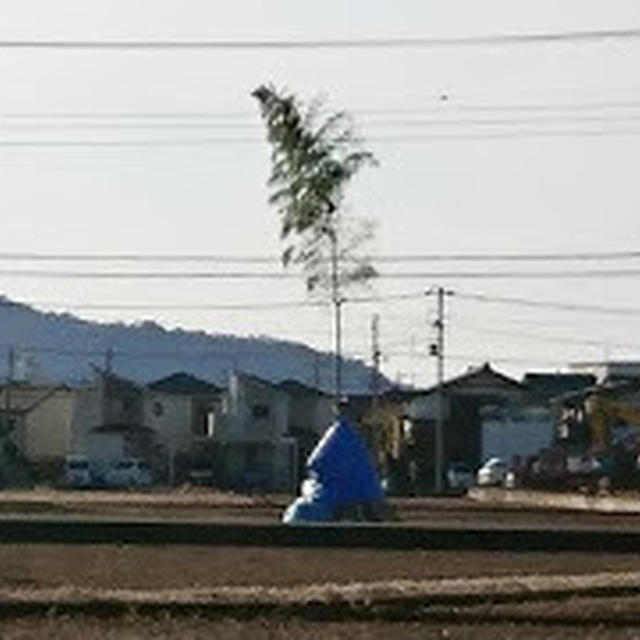 どんど焼きの準備