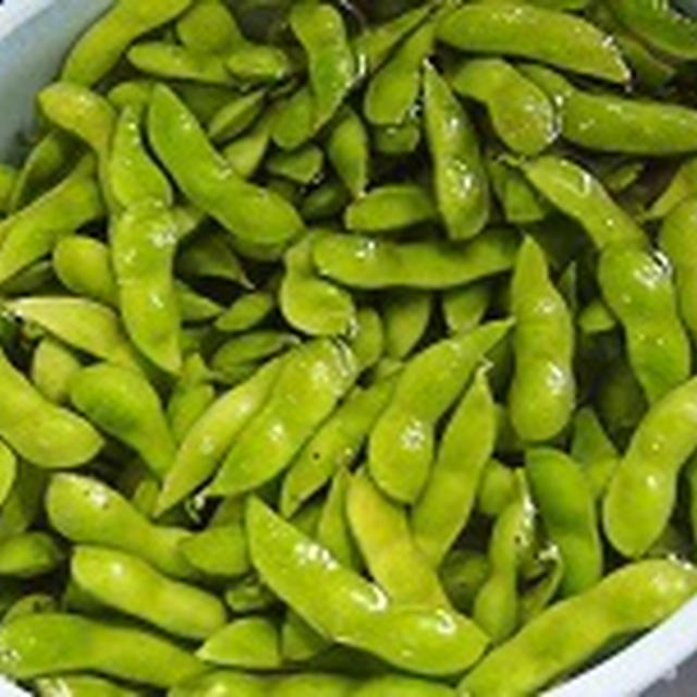 新鮮枝豆、できました。