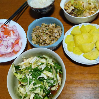 鶏肉煮と　紫玉ねぎとトマトの酢漬け