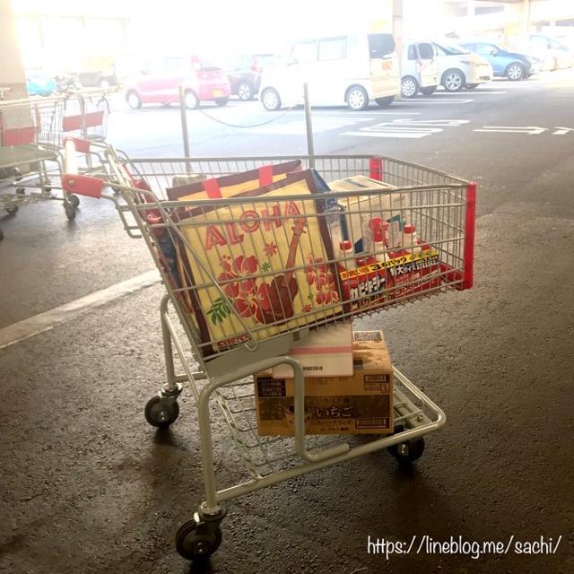 コストコの戦利品達♡【#コストコ#買い出し#戦利品】