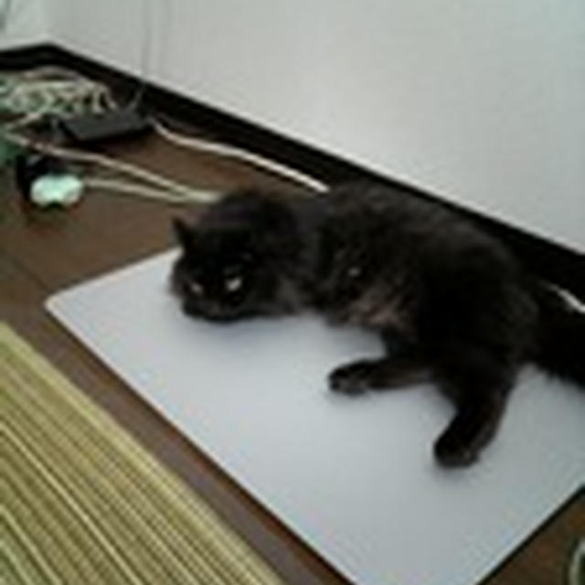 はじめ〜て
