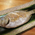 【旨魚料理】メイチダイの塩焼き